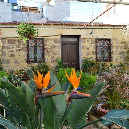 Mystery Garden Guest House Famagusta  Ngoại thất bức ảnh