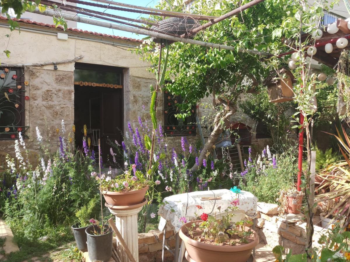 Mystery Garden Guest House Famagusta  Ngoại thất bức ảnh