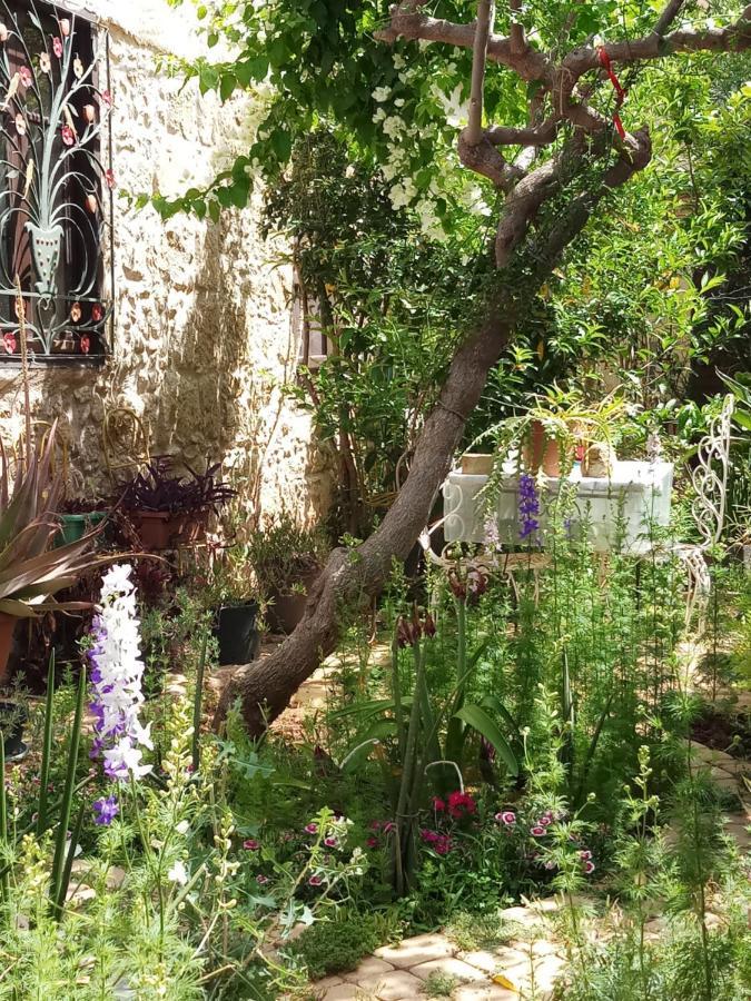 Mystery Garden Guest House Famagusta  Ngoại thất bức ảnh