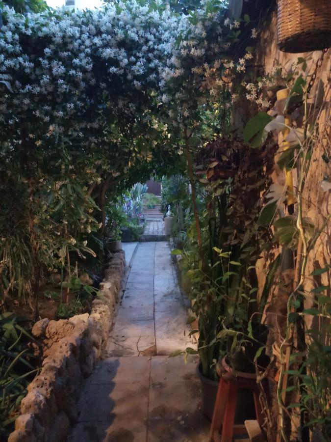 Mystery Garden Guest House Famagusta  Ngoại thất bức ảnh