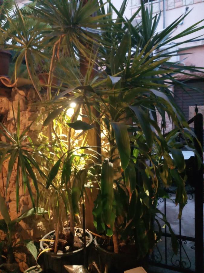 Mystery Garden Guest House Famagusta  Ngoại thất bức ảnh