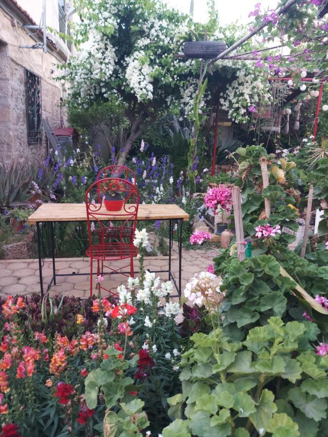 Mystery Garden Guest House Famagusta  Ngoại thất bức ảnh