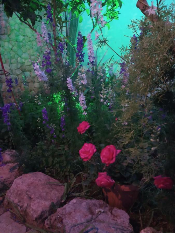 Mystery Garden Guest House Famagusta  Ngoại thất bức ảnh