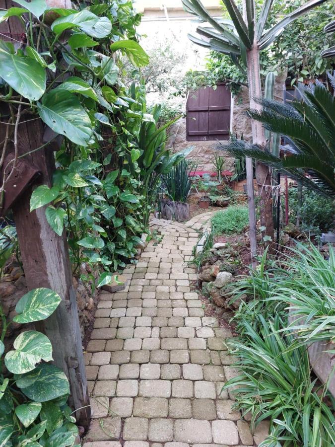 Mystery Garden Guest House Famagusta  Ngoại thất bức ảnh