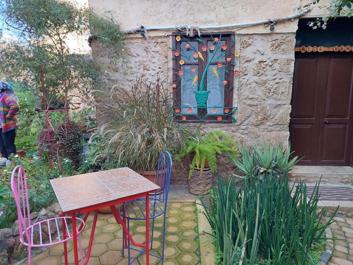 Mystery Garden Guest House Famagusta  Ngoại thất bức ảnh