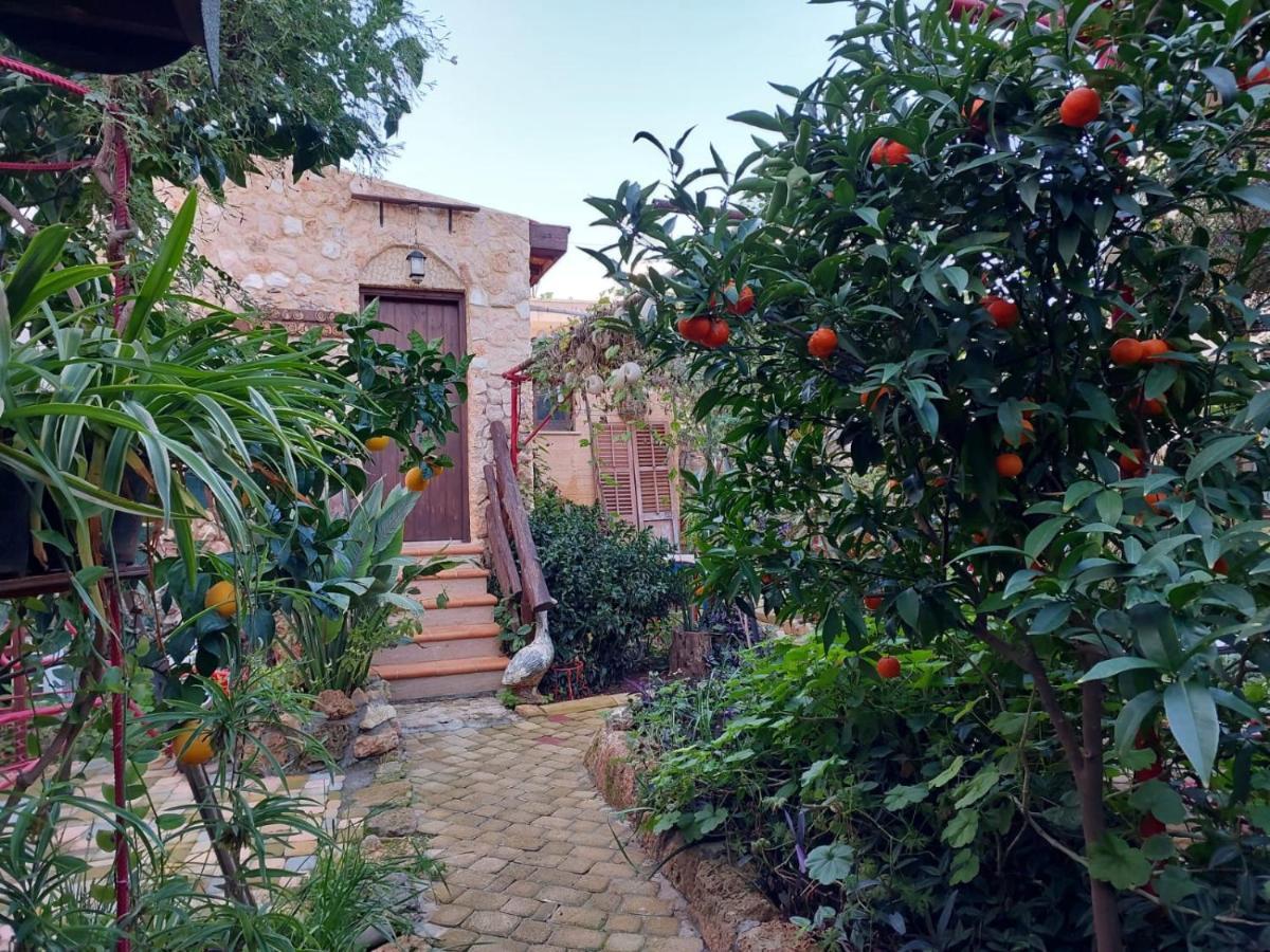 Mystery Garden Guest House Famagusta  Ngoại thất bức ảnh