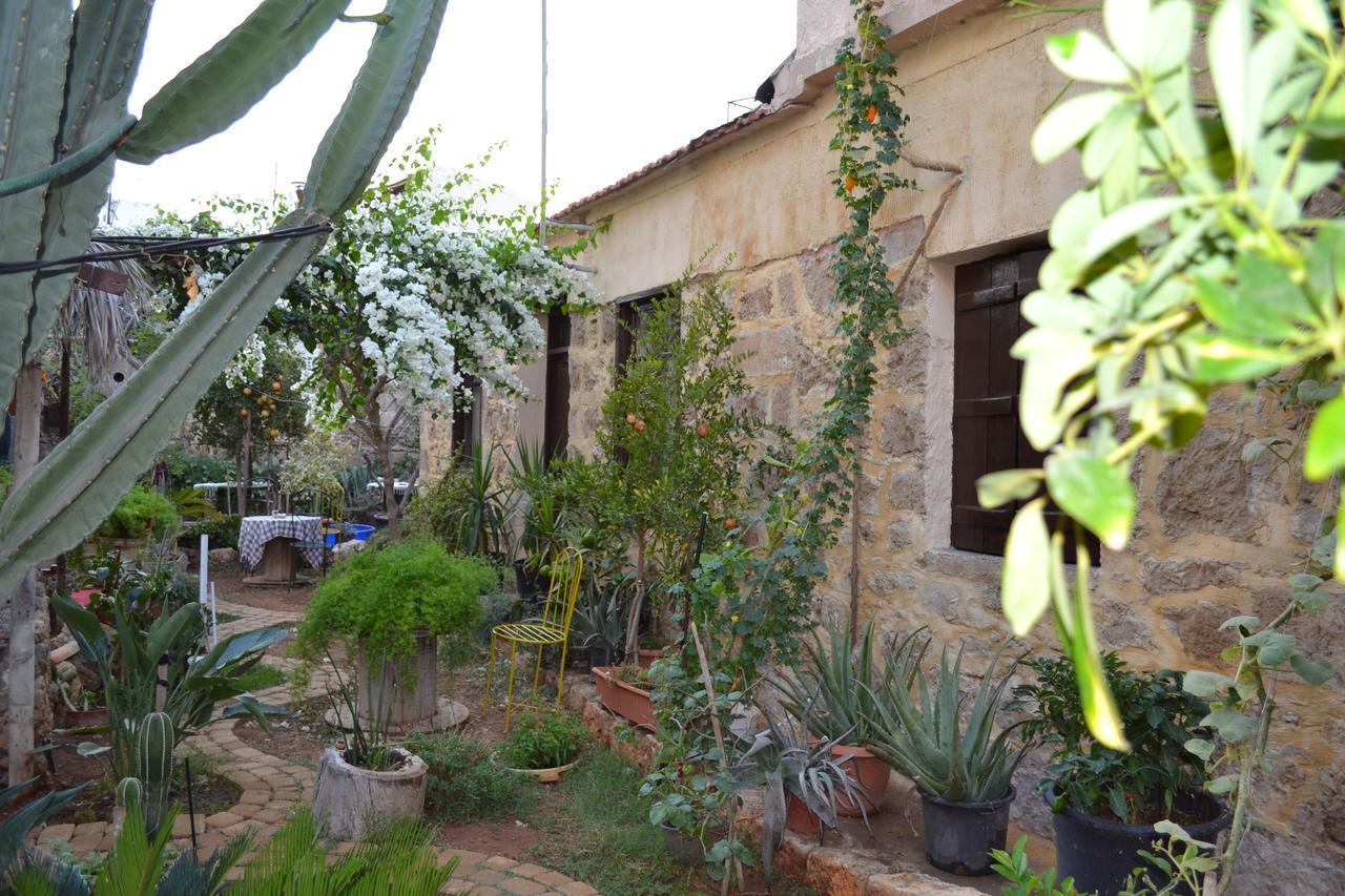 Mystery Garden Guest House Famagusta  Ngoại thất bức ảnh