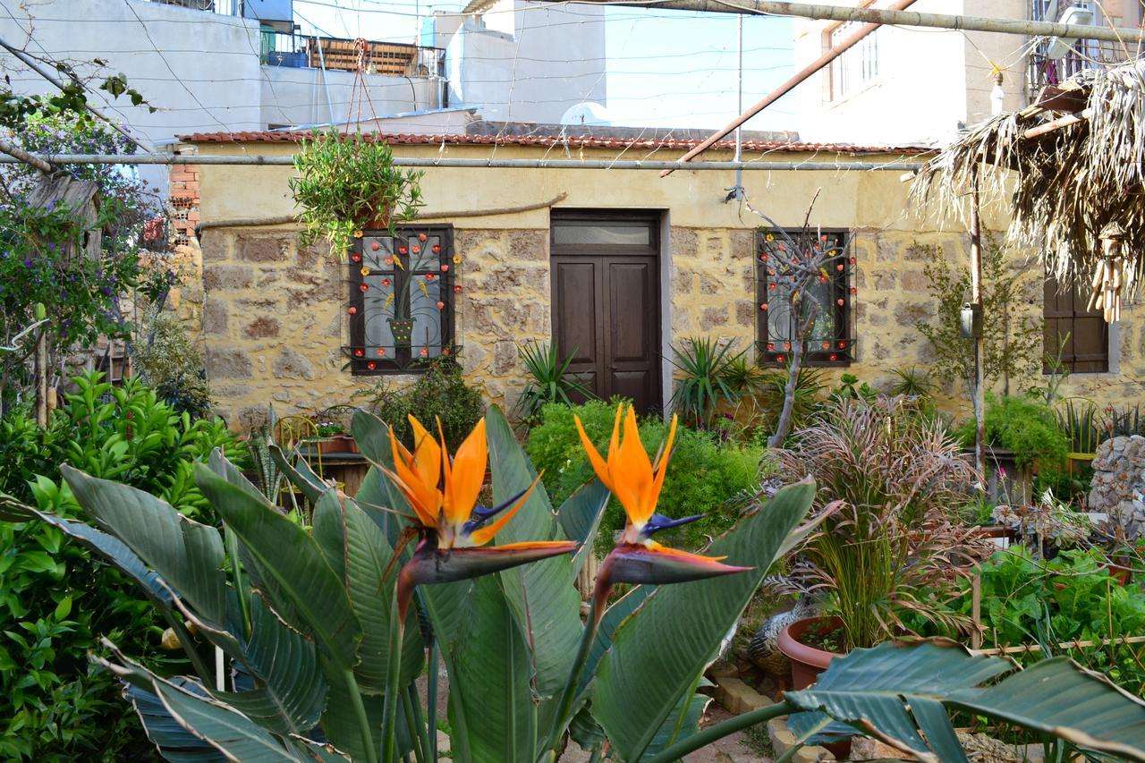 Mystery Garden Guest House Famagusta  Ngoại thất bức ảnh