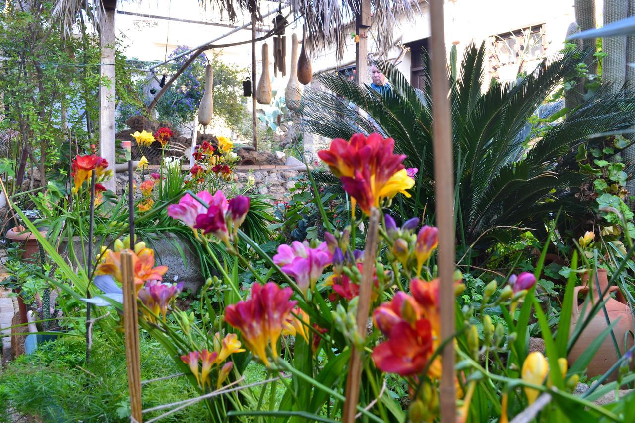 Mystery Garden Guest House Famagusta  Ngoại thất bức ảnh