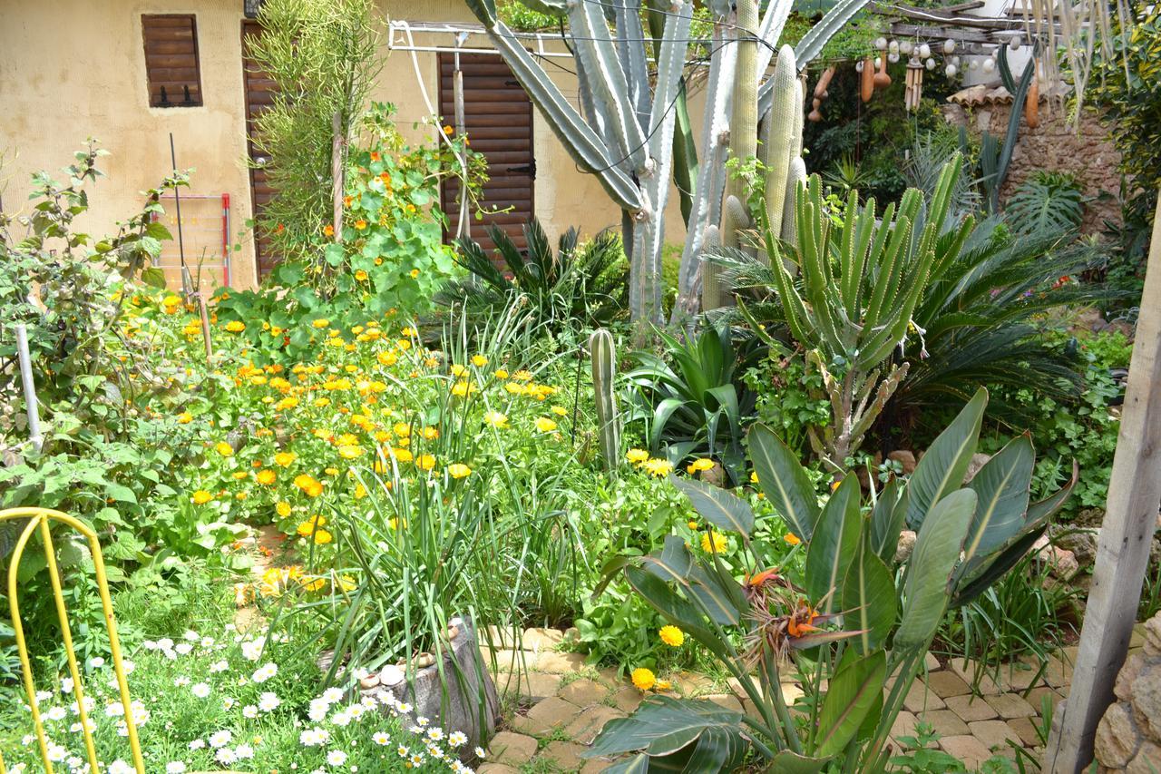 Mystery Garden Guest House Famagusta  Ngoại thất bức ảnh