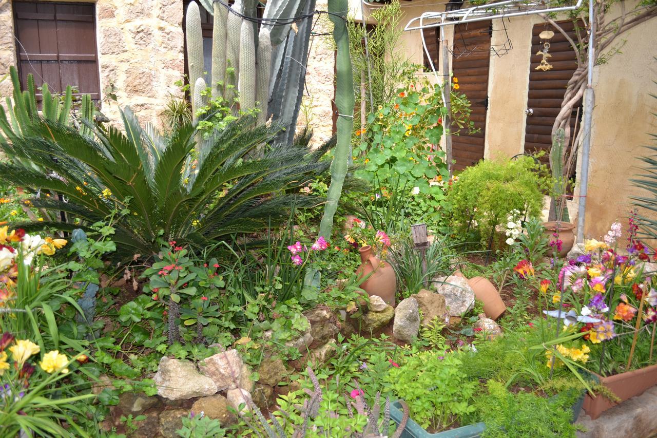 Mystery Garden Guest House Famagusta  Ngoại thất bức ảnh