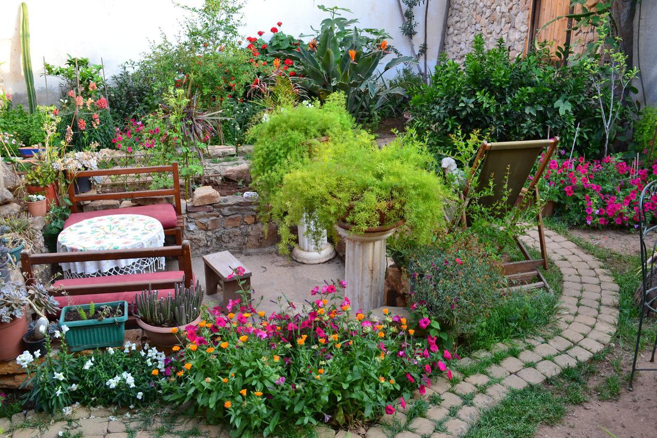 Mystery Garden Guest House Famagusta  Ngoại thất bức ảnh