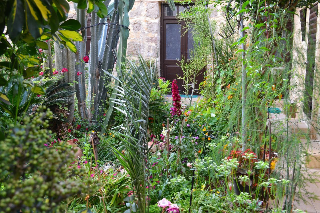 Mystery Garden Guest House Famagusta  Ngoại thất bức ảnh