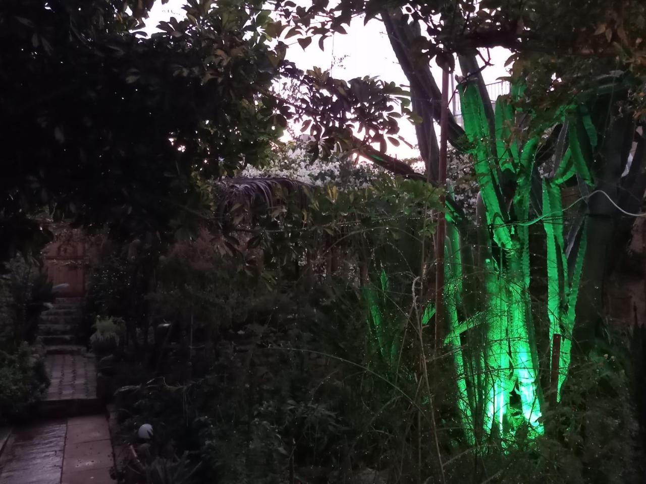 Mystery Garden Guest House Famagusta  Ngoại thất bức ảnh