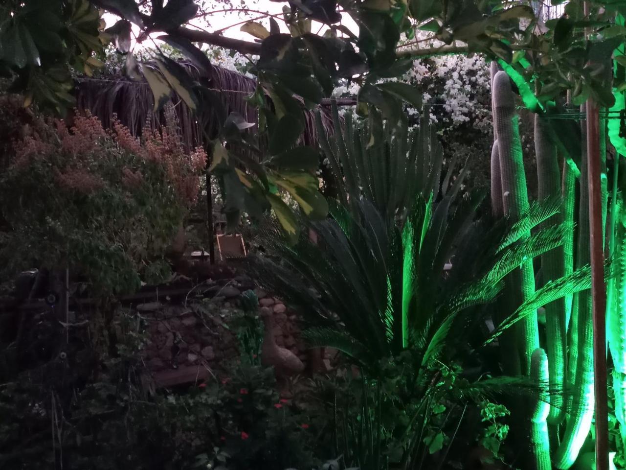 Mystery Garden Guest House Famagusta  Ngoại thất bức ảnh