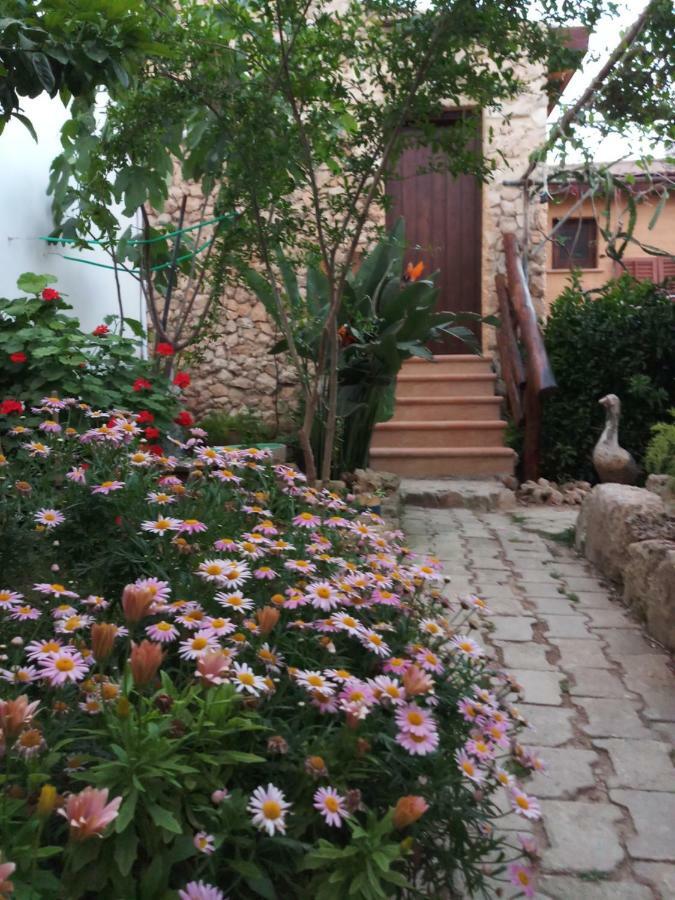 Mystery Garden Guest House Famagusta  Ngoại thất bức ảnh