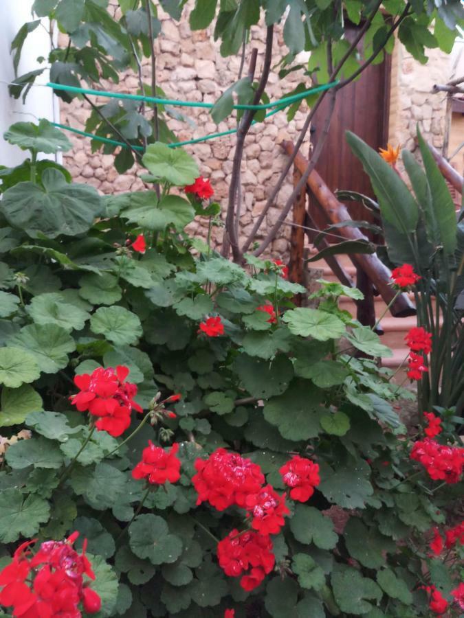 Mystery Garden Guest House Famagusta  Ngoại thất bức ảnh